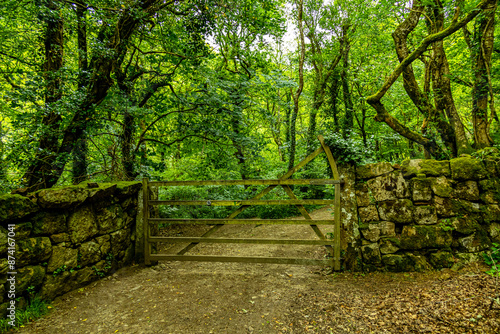 Obraz na płótnie Wanderung durch den wunderschönen Nationalpark Dartmoor vom Castle Drogo zur Fingle Bridge - Exeter - Vereinigtes Königreich w salonie