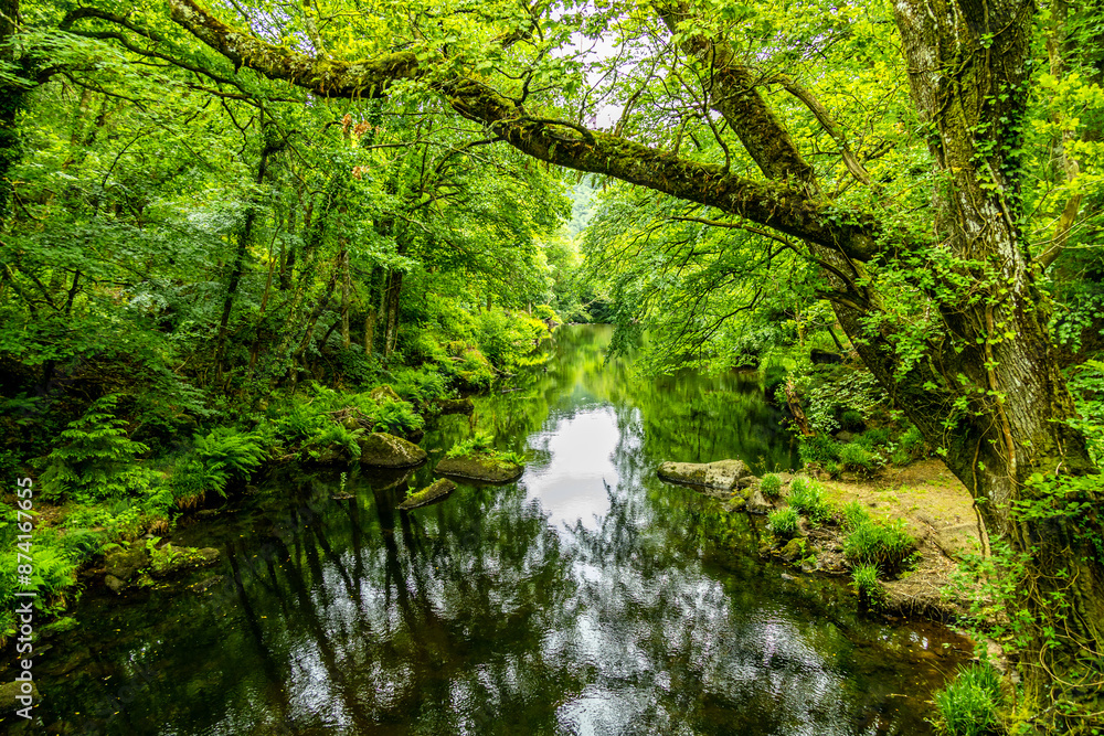 custom made wallpaper toronto digitalWanderung durch den wunderschönen Nationalpark Dartmoor vom Castle Drogo zur Fingle Bridge - Exeter - Vereinigtes Königreich