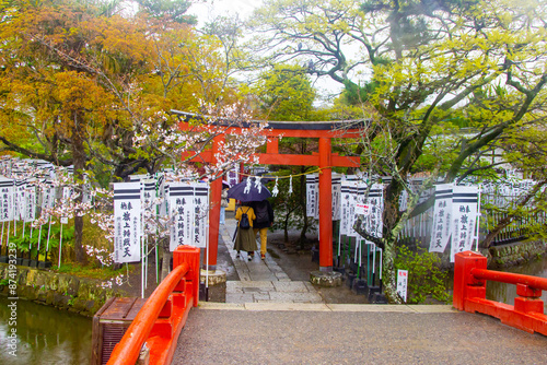 Tsurugaoka Hachimangu Shinto shrine area views Kamakura Japan photo