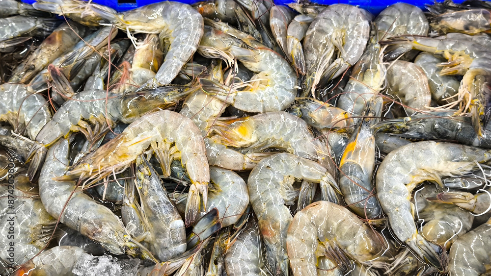 Fresh shrimp for cooking, food concept Fresh shrimp for cooking, food concept