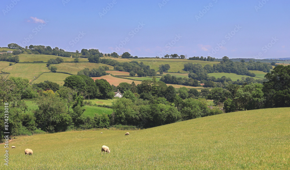 An English Rural Landscape in East Devon with blue summer skies