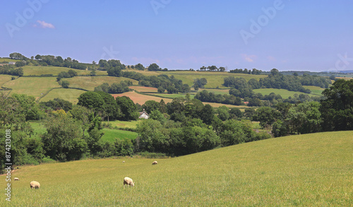 Obraz na płótnie An English Rural Landscape in East Devon with blue summer skies
w salonie