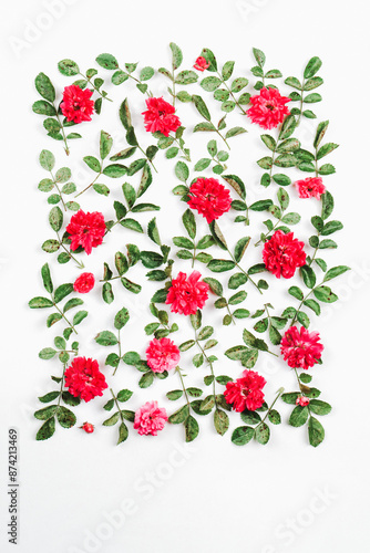 Wallpaper Mural Beautiful composition of rose flowers and leaves. High quality photo Torontodigital.ca