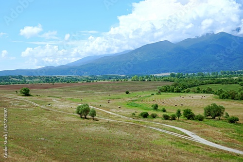 Road through fields and meadows
