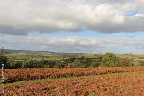 Autumn trees in the Wales countryside.