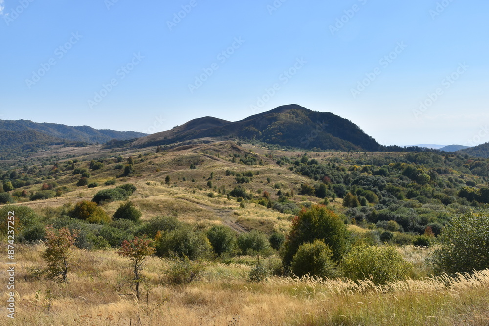 Beautiful lush meadows in fall colors with wild hay Beautiful lush meadows in fall colors with wild hay