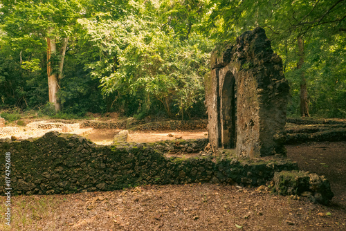 Ruins of Gedi in Town of Gede - A medieval Swahili coastal settlement in Arabuko Sokoke Forest Reserves in Malindi, Kenya

 photo