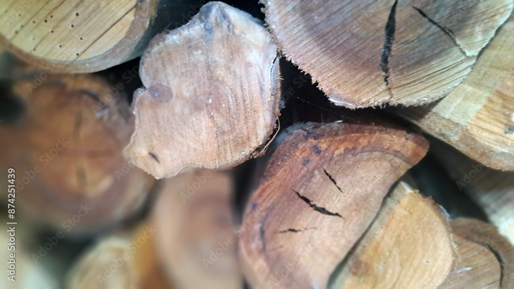 Stack of freshly cut logs drying in the sun Stack of freshly cut logs drying in the sun