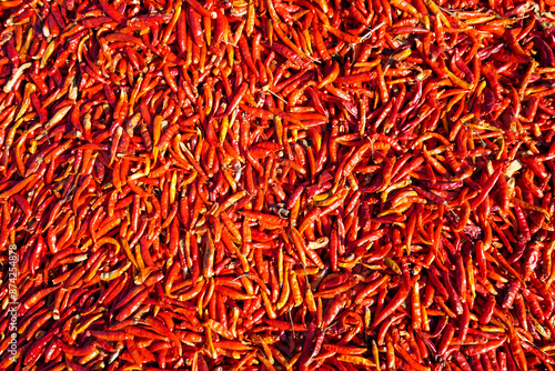 Piles of red chili peppers on a farm in North China