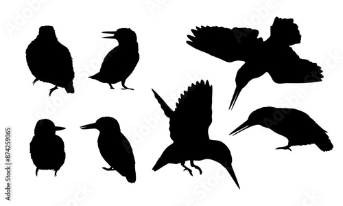 A set of silhouettes of common kingfisher Alcedo atthis birds in different poses. Kingfishers sit on a branch or the ground, fly and hunt. Wild birds of Eurasia and North America. Realistic vector
