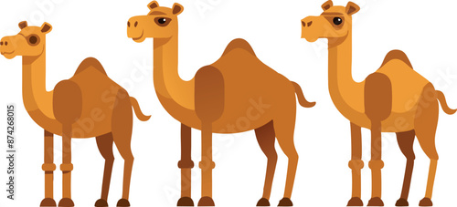 Three cartoon camels standing in a row