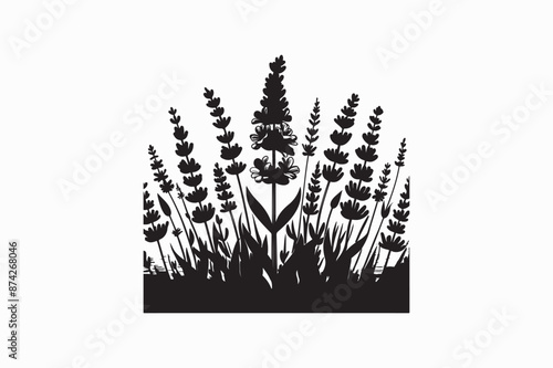 A vector silhouette image adobe illustrator of a Lavender Flower.