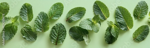 Fresh Green Mint Leaves Scattered on a Light Green Background