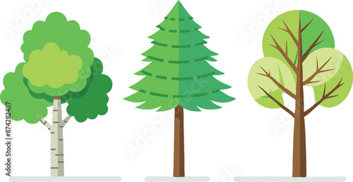 Three trees are shown in a row, with the middle tree being the tallest