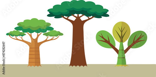 Three trees are shown in a row, with the middle tree being the tallest