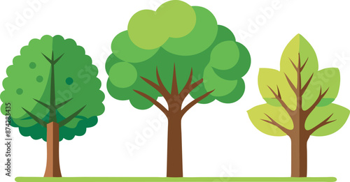 Three trees are shown in a row, with the middle tree being the tallest