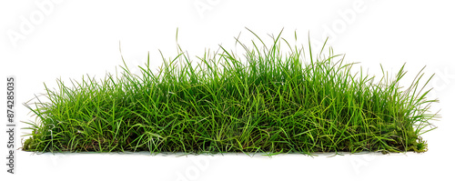 Green Grass Field Isolated on White Background