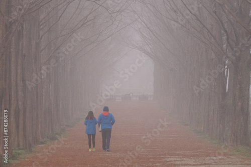 Autumn morning scenery of a foggy metasequoia tree-lined road and lovers in the fog. photo