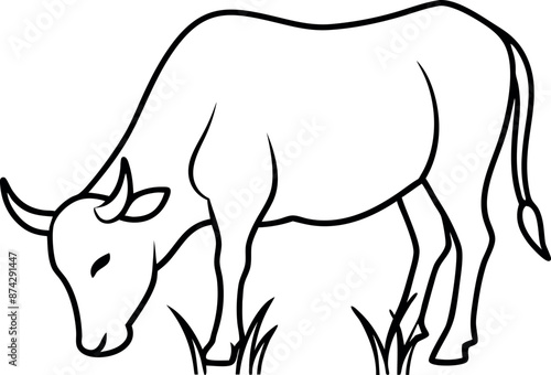 A cow is grazing in a field