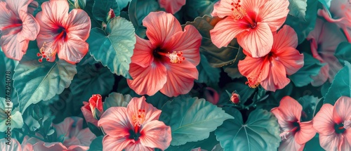 digital illustration of fantasy vintage botanical Hibiscus flowers wallpaper background perfect for creating floral pattern fabric print cover invitation poster banner