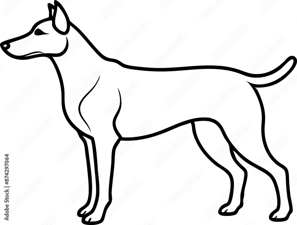 A dog is standing in front of a white background