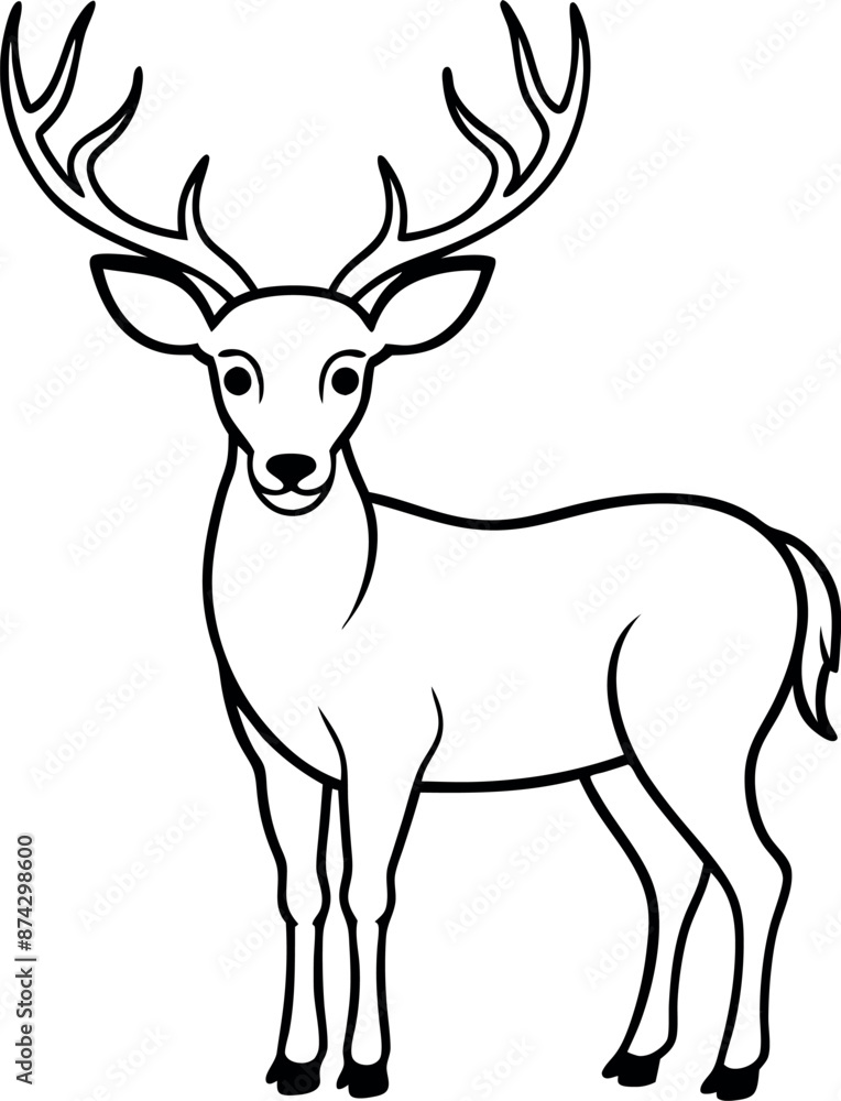 A deer with antlers stands in front of a white background A deer with antlers stands in front of a white background