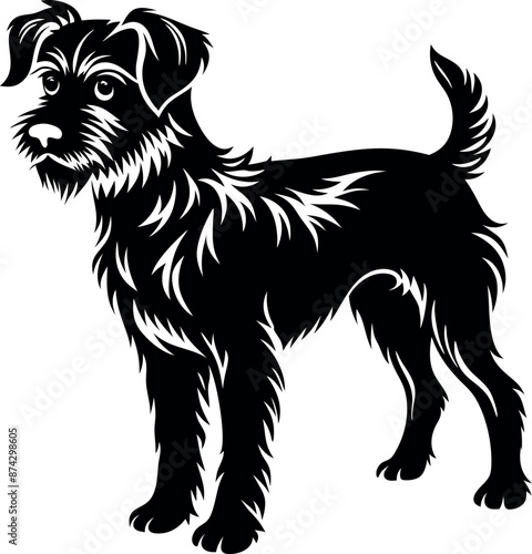 A black dog with a white background