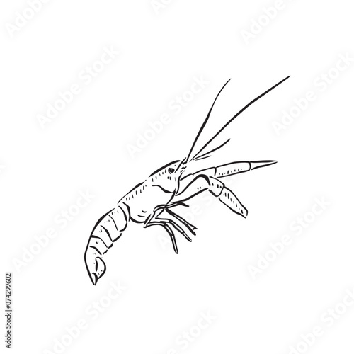 A line drawn crayfish in black and white, created by hand in a sketchy style. Perfect for menus, invites, signage and so much more.