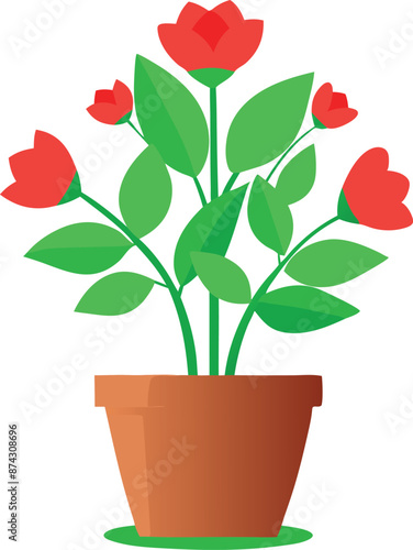 Red flowers growing in a pot on white background