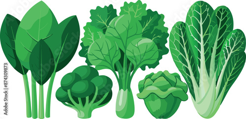 Green vegetables assortment including broccoli and spinach illustration