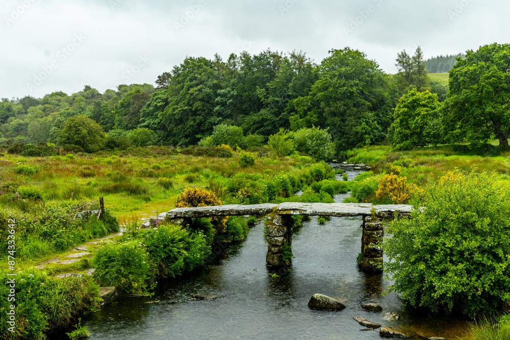 Fototapeta premium Wanderung durch den wunderschönen Nationalpark Dartmoor zur alten Post Bridge - Exeter - Vereinigtes Königreich