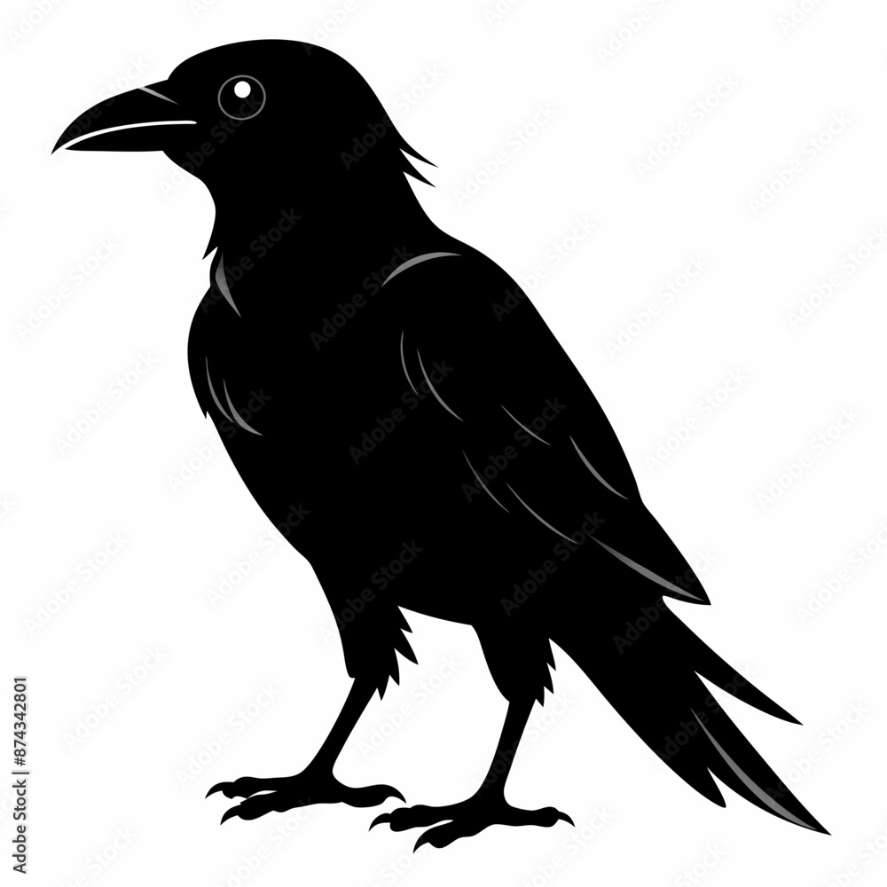 crow vector illustration, crow isolated on white, crow silhouette, crow vector art
crow vector illustration, crow isolated on white, crow silhouette, crow vector art