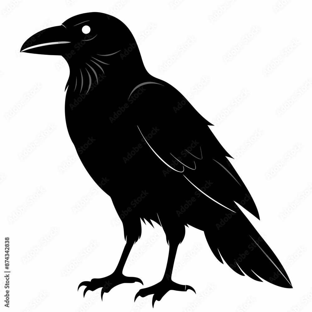 Fototapeta premium crow vector illustration, crow isolated on white, crow silhouette, crow vector art 