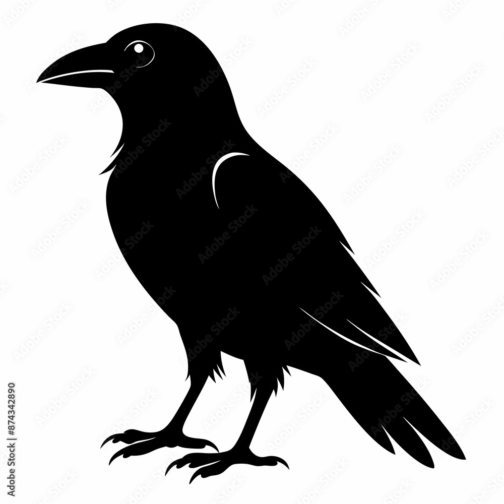 Fototapeta premium crow vector illustration, crow isolated on white, crow silhouette, crow vector art 