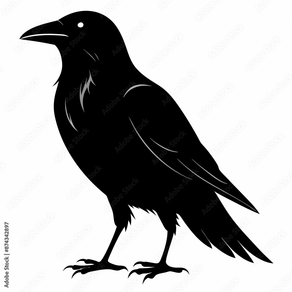Fototapeta premium crow vector illustration, crow isolated on white, crow silhouette, crow vector art 