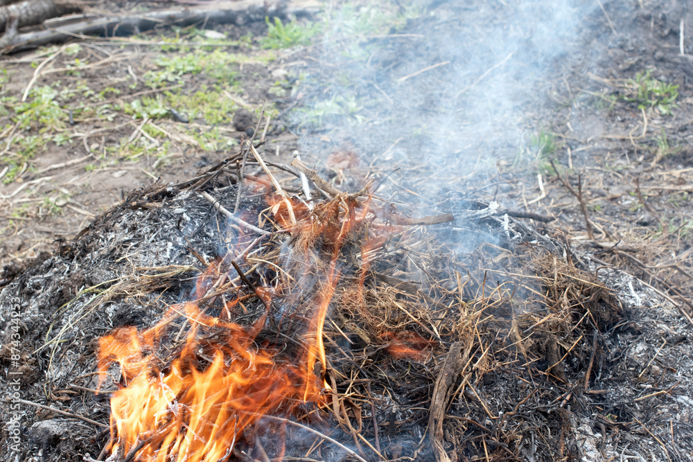 Burning of dry branches and grass in the garden. Cleaning of the garden territory Burning of dry branches and grass in the garden. Cleaning of the garden territory