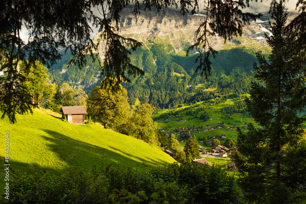 Beautiful Grindelwald valley view at sunset from the woods and summer Swiss Alps mountains with green meadows, wooden chalets on green fields and mount Eiger, Switzerland. Beautiful Grindelwald valley view at sunset from the woods and summer Swiss Alps mountains with green meadows, wooden chalets on green fields and mount Eiger, Switzerland.