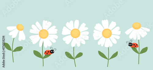 Set of daisy flower with green leaves on green background vector.