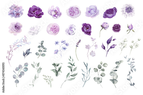 Purple flower isolated clipart PNG. Watercolor floral set on transparent background. Violet, mauve, lilac, lavender flowers and greenery collection for wedding invitation, greeting card, print design