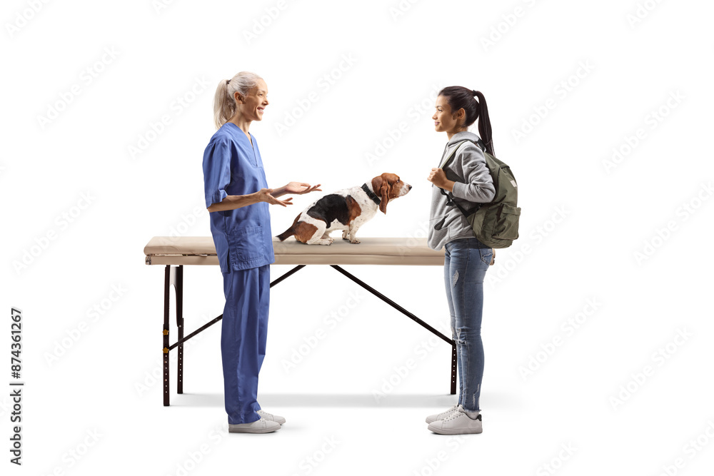 Female veterinarian talking to a young female with a basset hound dog Female veterinarian talking to a young female with a basset hound dog