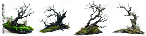 Set of black dead trees on mossy ground on a transparent background