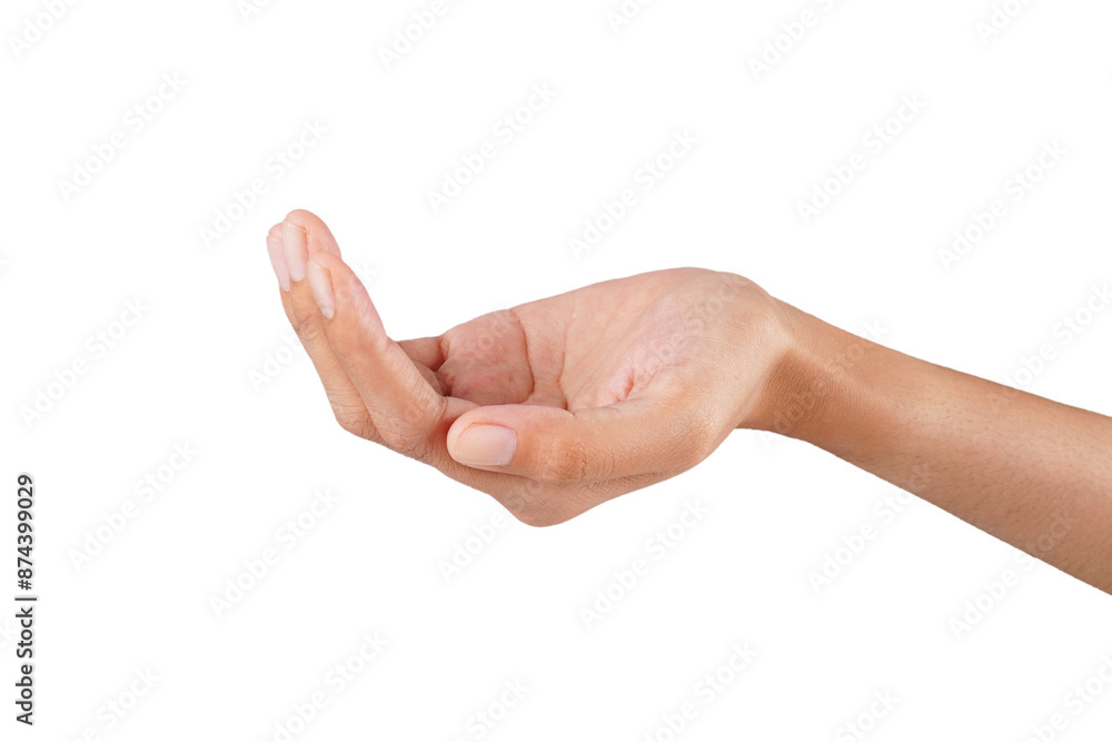 Open hand palm bare hand pose isolated transparent Open hand palm bare hand pose isolated transparent