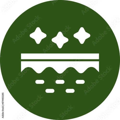 Skin Vector Glyph Green Circle Icon