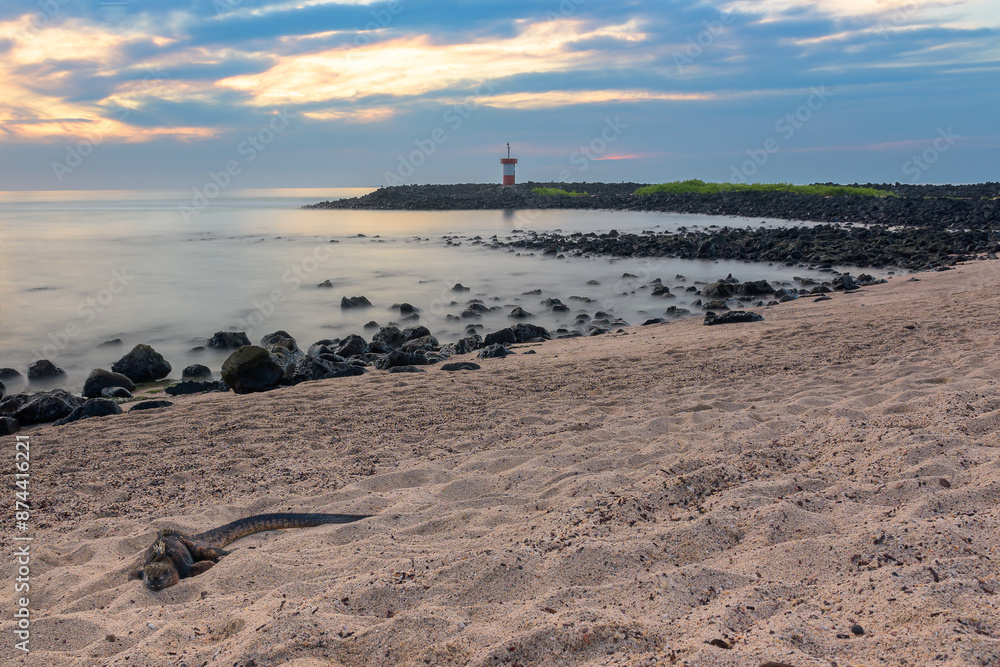 Atardecer en playa con iguana marina en primer plano - Punta Carola - Isla San Cristóbal - Islas Galápagos - Ecuador Atardecer en playa con iguana marina en primer plano - Punta Carola - Isla San Cristóbal - Islas Galápagos - Ecuador