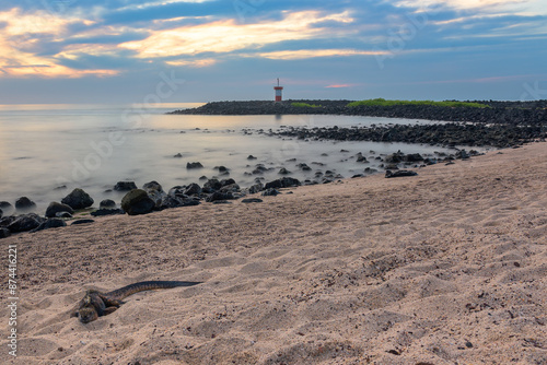 Atardecer en playa con iguana marina en primer plano - Punta Carola - Isla San Cristóbal - Islas Galápagos - Ecuador