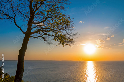 Góra Gosań is a notable natural attraction near Międzyzdroje, located within the Wolin National Park in Poland. Góra Gosań stands at an elevation of approximately 93 meters (305 feet) above sea level photo