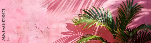 Palm leaf shadow on pink wall Minimal background for products Springsummer, photo