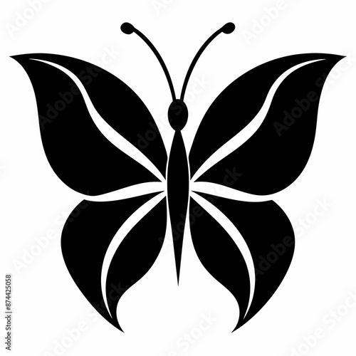 black butterfly isolated on white