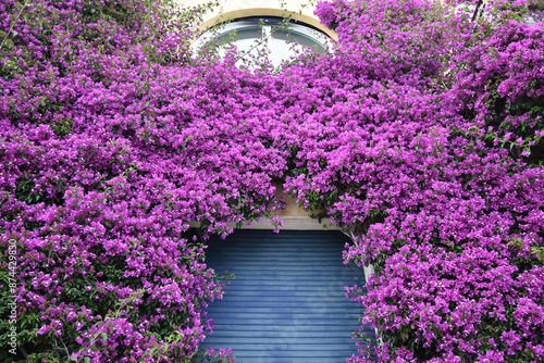 Italian Building with Flowers Close Up