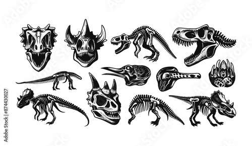 Dinosaur skeleton woodcut linocut print set, tattoo dino skull vector. Prehistoric archaeology fossil icon, Jurassic reptile engraving sticker triceratops silhouette reptor head. Dinosaur skeleton  photo